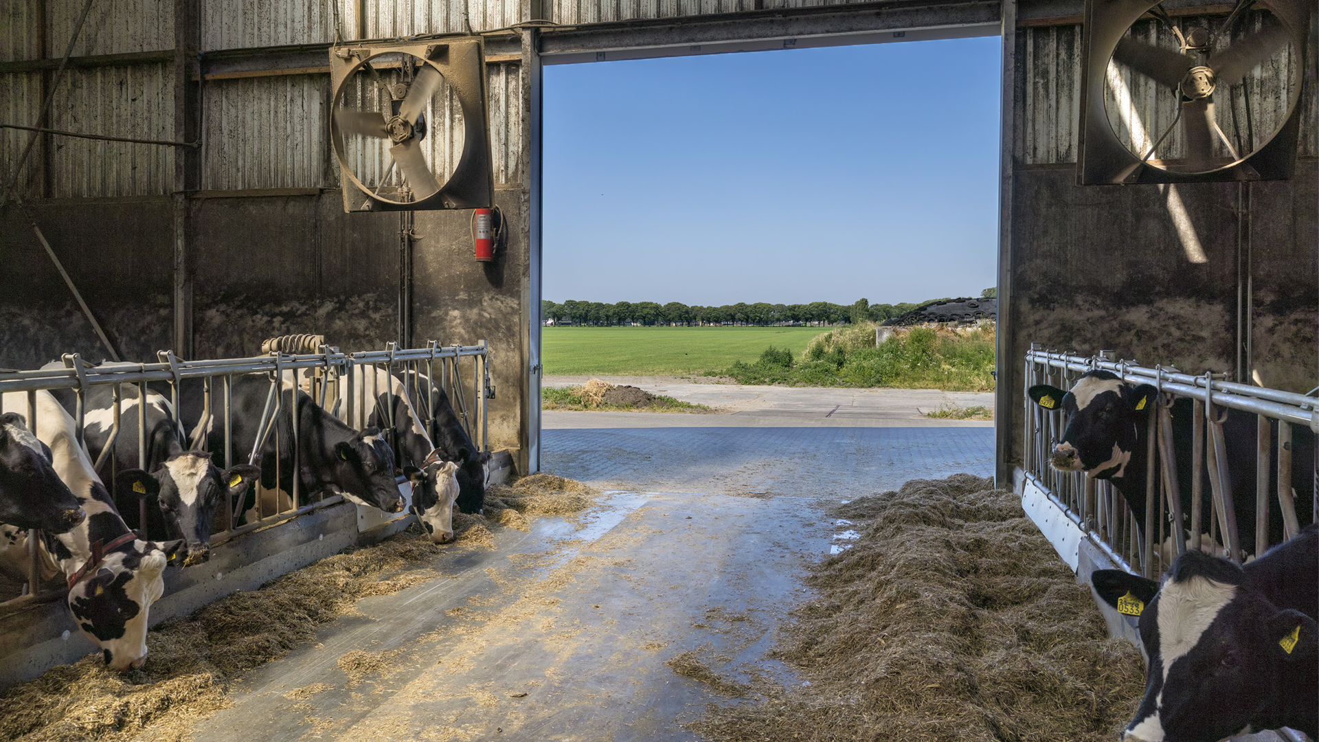 Zowel boeren als natuurbeschermers in de Peel sceptisch over plannen in miljoenennota