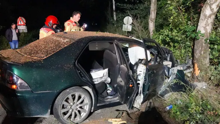 Auto botst tegen boom op Nuijeneind in Bakel; bestuurder laat voertuig achter en gaat ervandoor