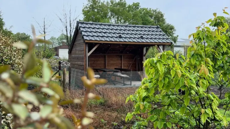 Voedseltuin Het Leegveld geeft inkijkje tijdens Open Voedselbossendag met rondleiding en proeverij