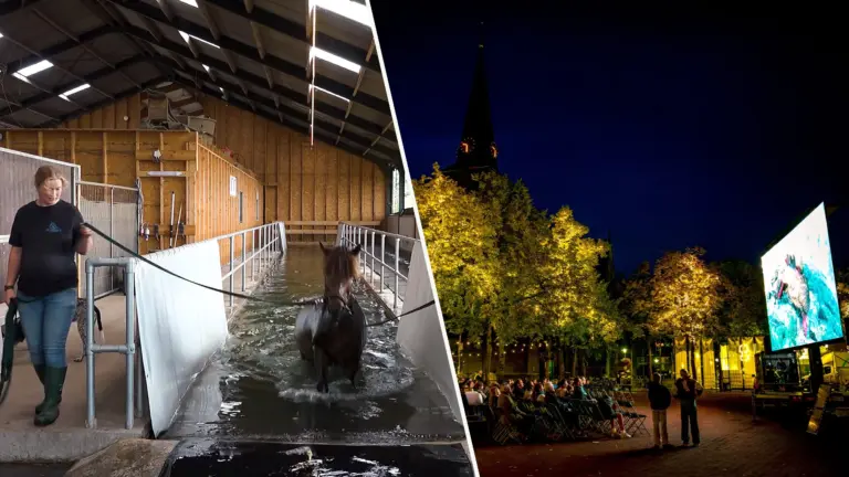 [VIDEO] ‘Zomer in de Peel’ met paardenzwemmen in Ysselsteyn en terugblik op Nacht van het Witte Doek