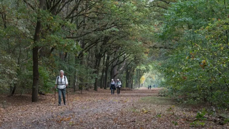 Herfstwandeltocht en trailrun van AV-LGD leiden deelnemers door Deurnese natuur