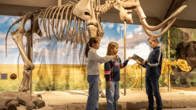 Dick ‘Sir Mammoth’ Mol geeft lezing over grote zoogdieren uit de tijd dat Liessel nog aan zee lag