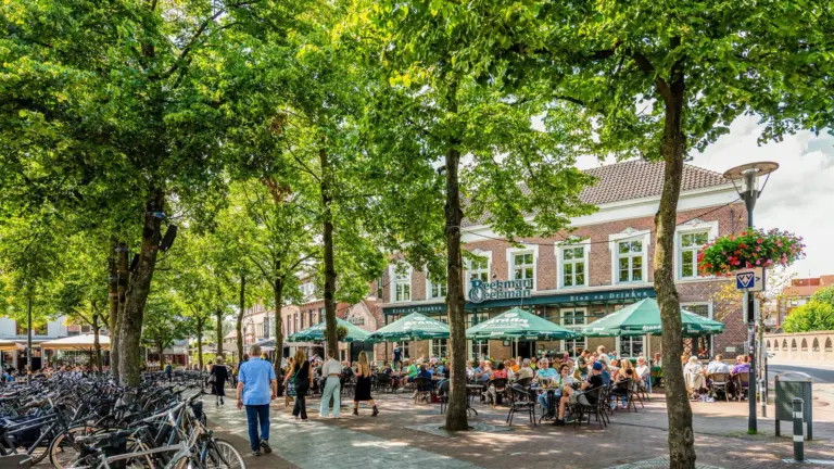 Proef met luchtdruk op Deurnese Markt blijkt succesvol: ‘Behandelde bomen eerder in blad en vollere kruin’