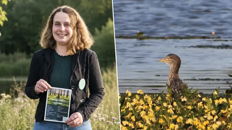 Workshop over duurzaamheid en natuurfilms over de Peel bij De Ossenbeemd in Deurne