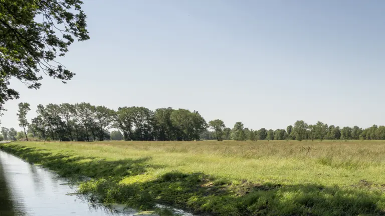 Stikstofuitstoot en -neerslag nemen verder af in Brabant; ook natuur in Deurnsche Peel wordt minder belast